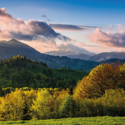MYŚLIMY O PRZYSZŁYCH POKOLENIACH MYŚLIMY O PRZYSZŁYCH POKOLENIACH