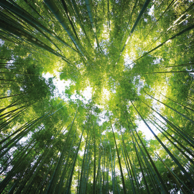 MYŚLIMY O PRZYSZŁYCH POKOLENIACH MYŚLIMY O PRZYSZŁYCH POKOLENIACH